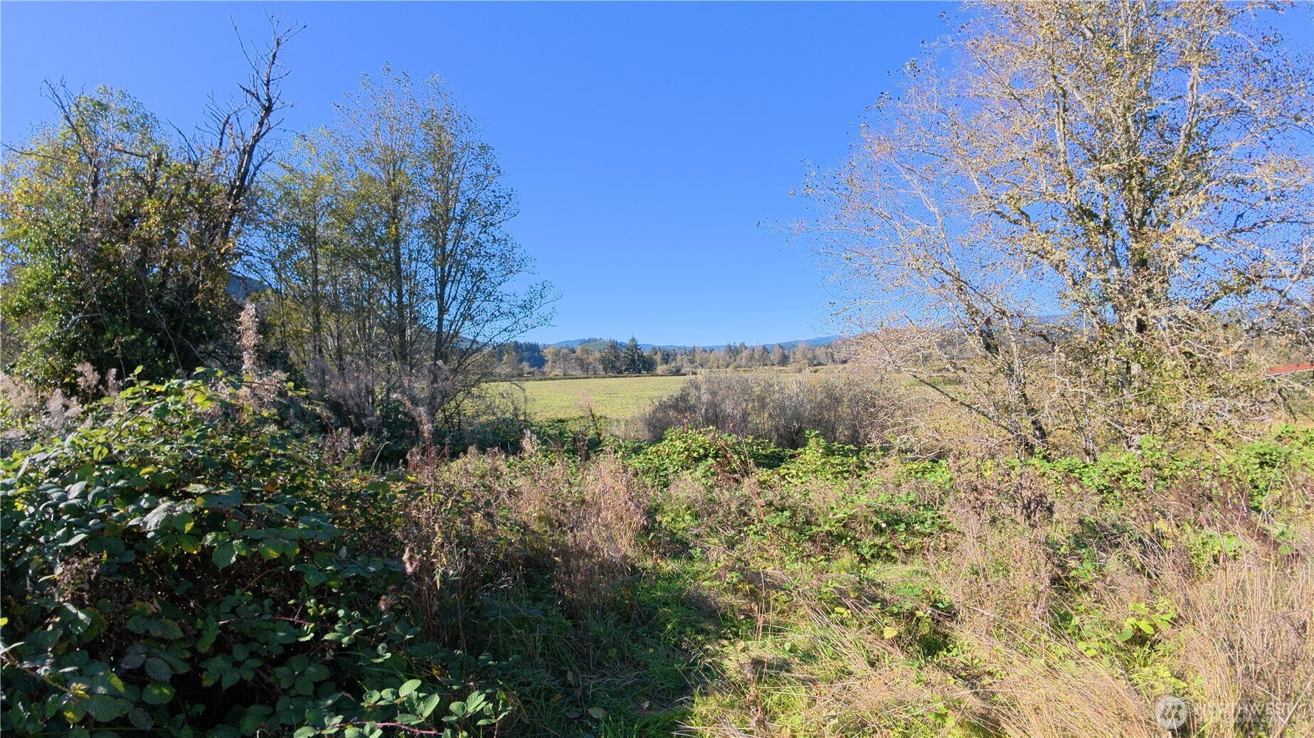 105 E Valley Road Property Photo 13
