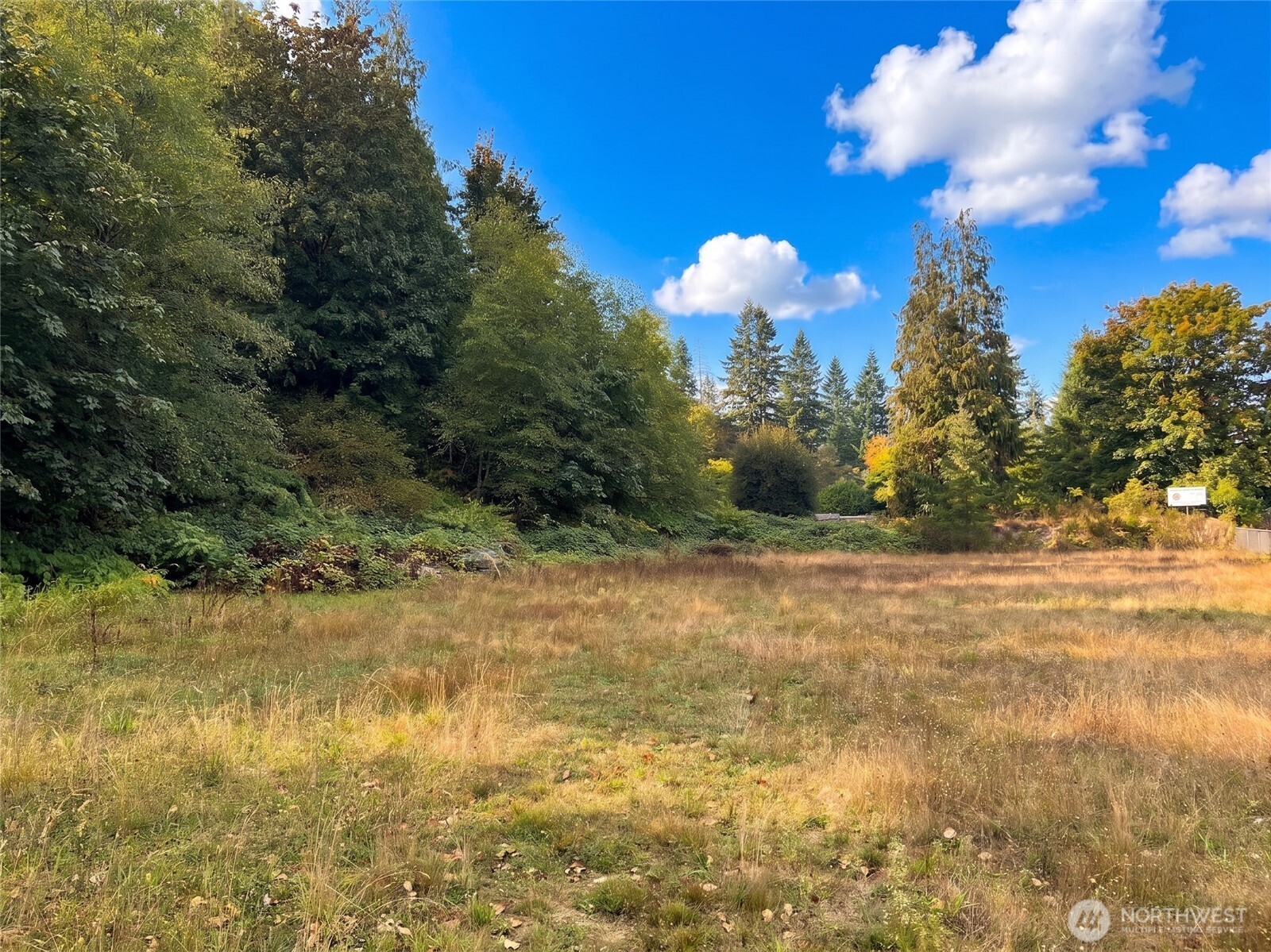 20045 Renton Maple Valley Highway Property Photo 4