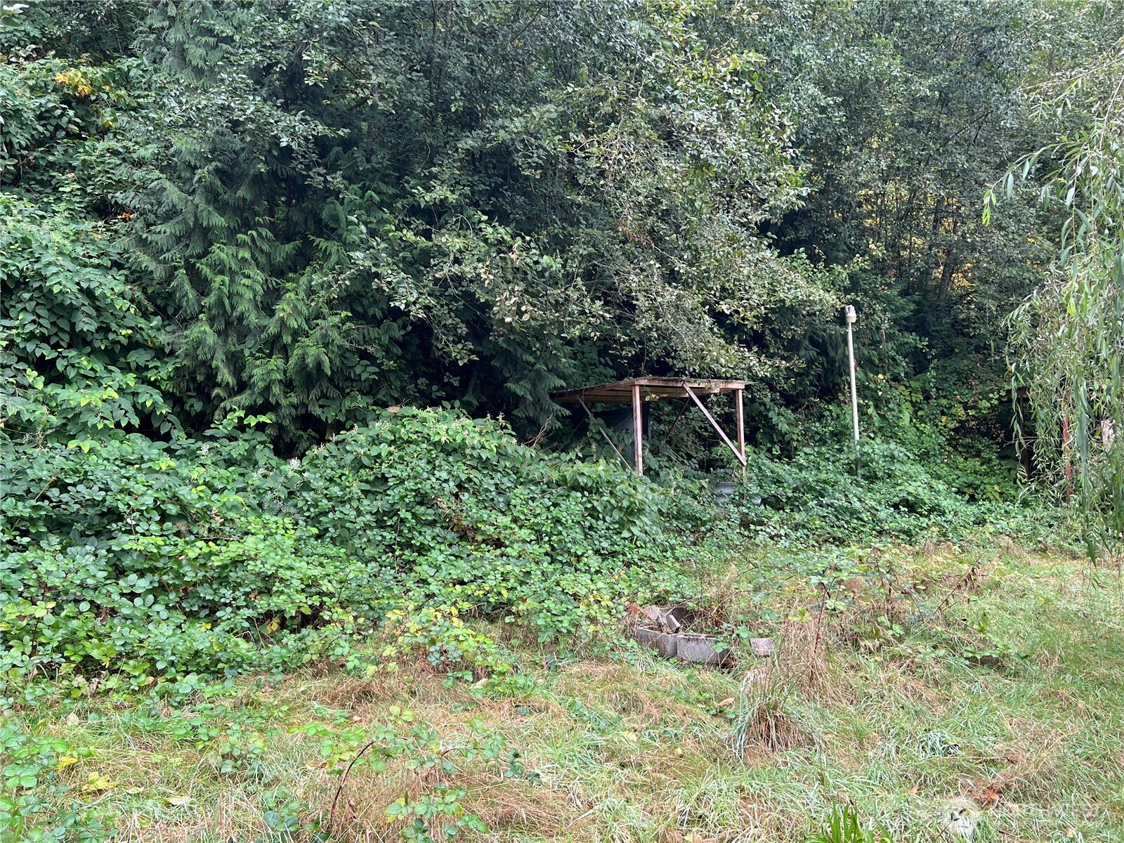 20045 Renton Maple Valley Highway Property Photo 9
