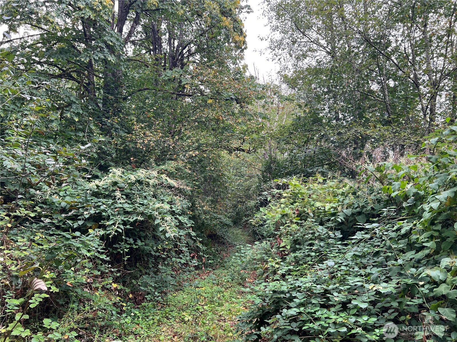 20045 Renton Maple Valley Highway Property Photo 11