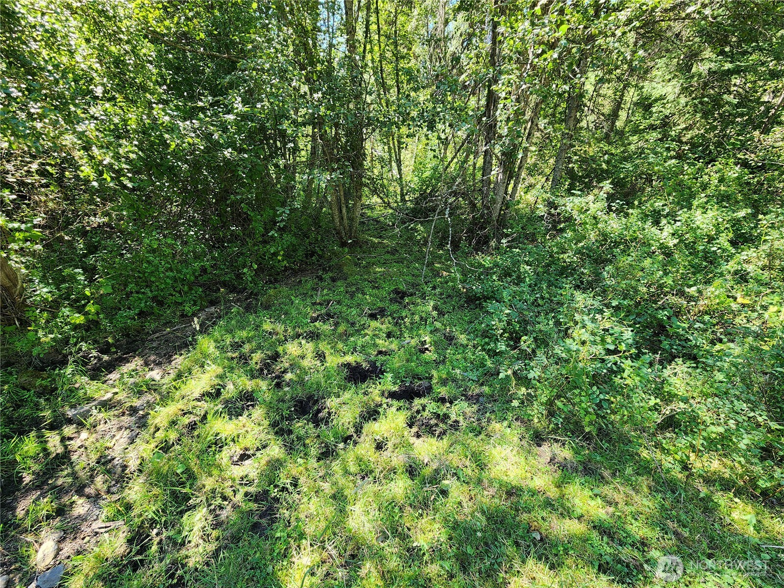 0 Sleepy Hollow Road Property Photo 20