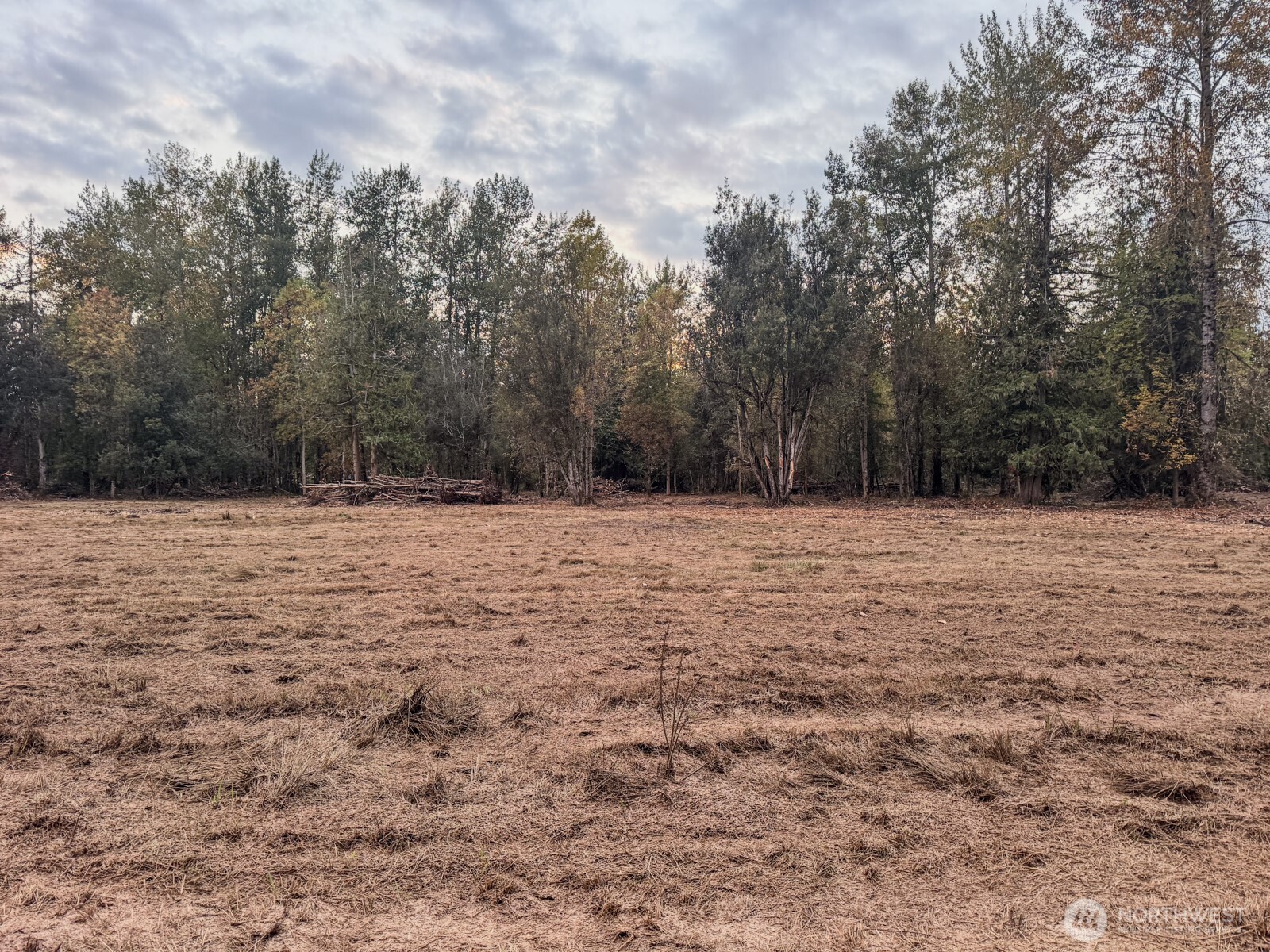 0 Mundy Loss Road Property Photo 16