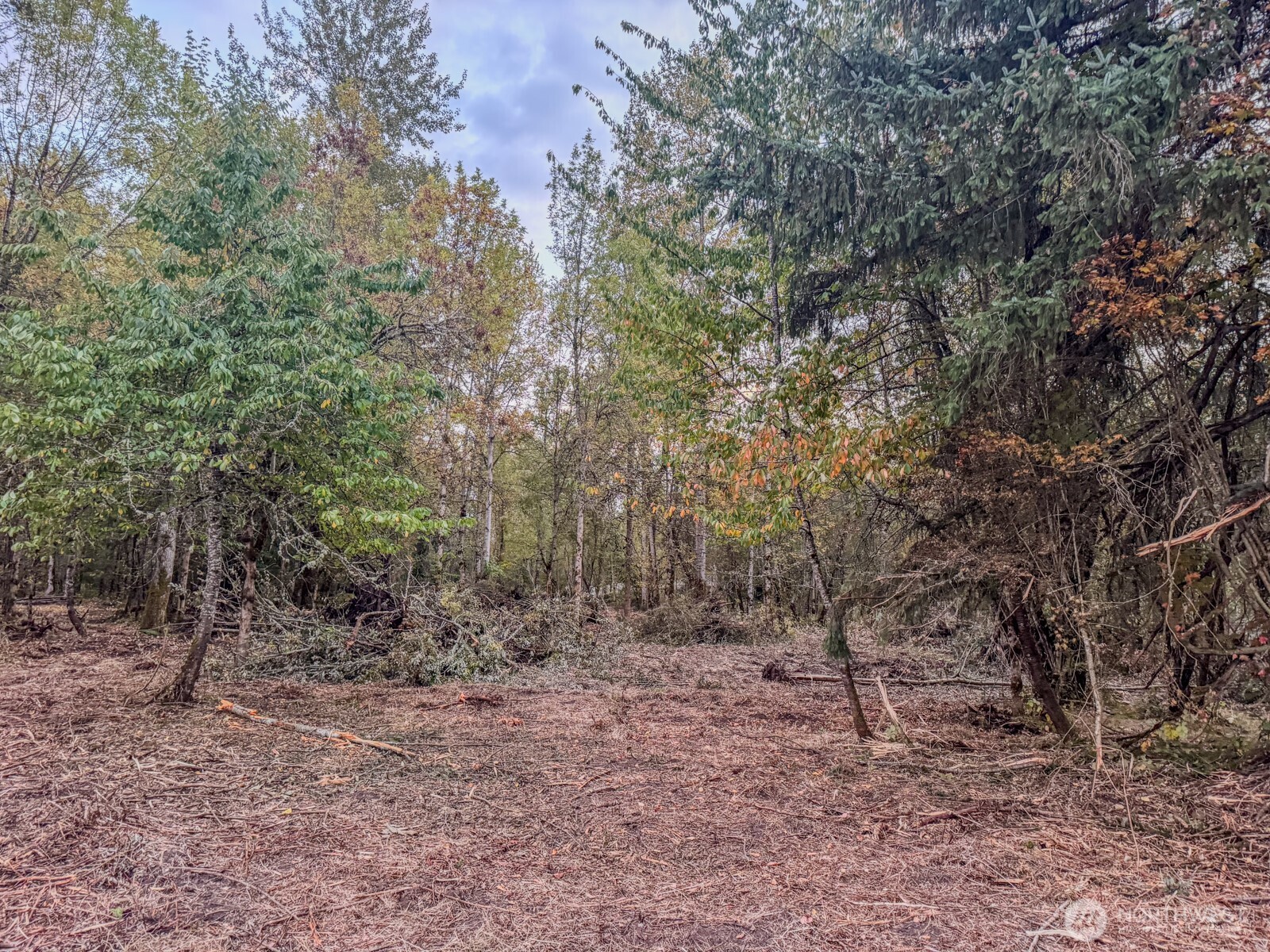 0 Mundy Loss Road Property Photo 19