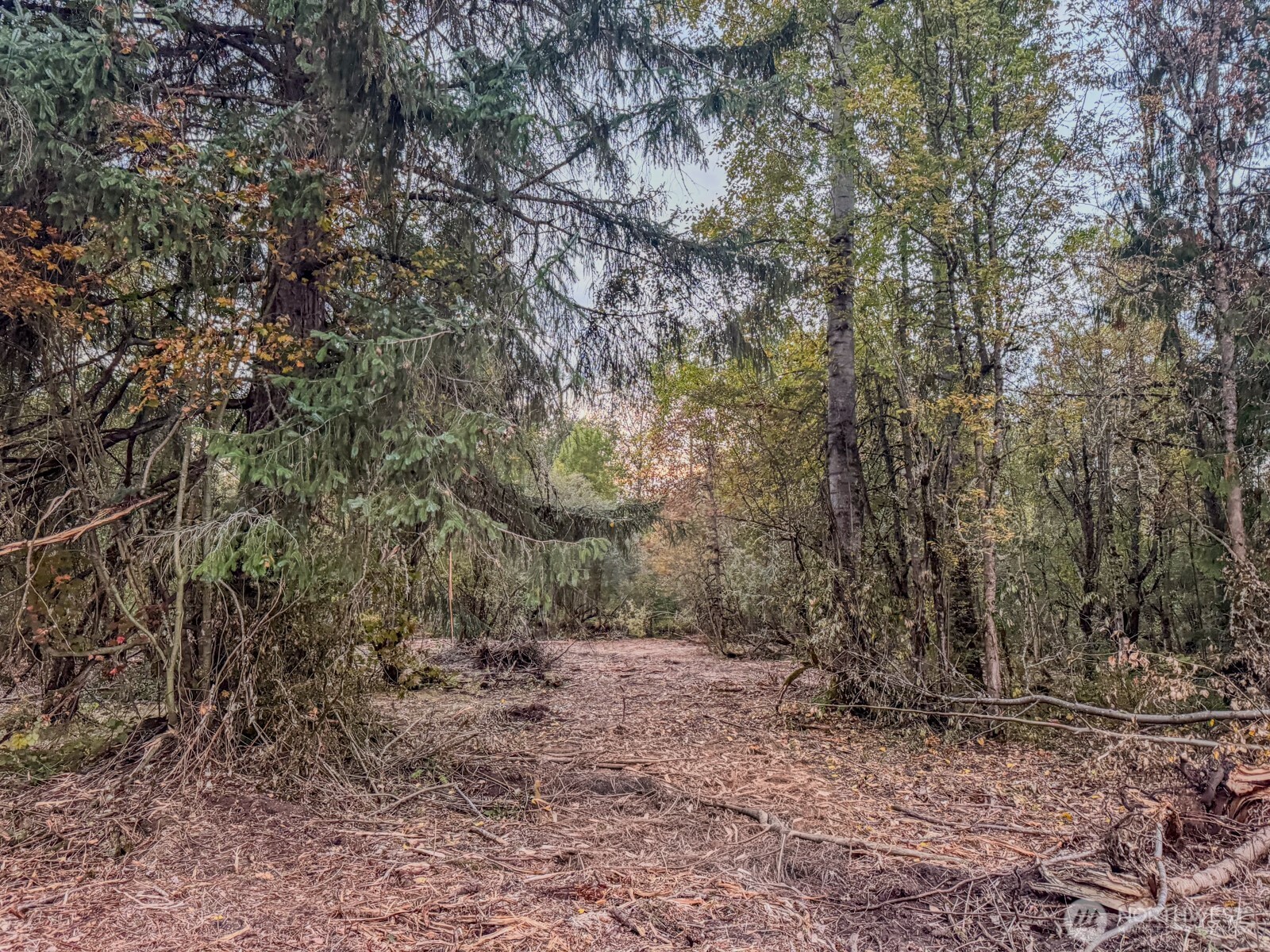 0 Mundy Loss Road Property Photo 20
