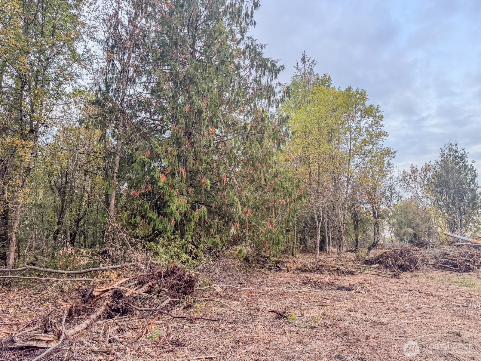 0 Mundy Loss Road Property Photo 21