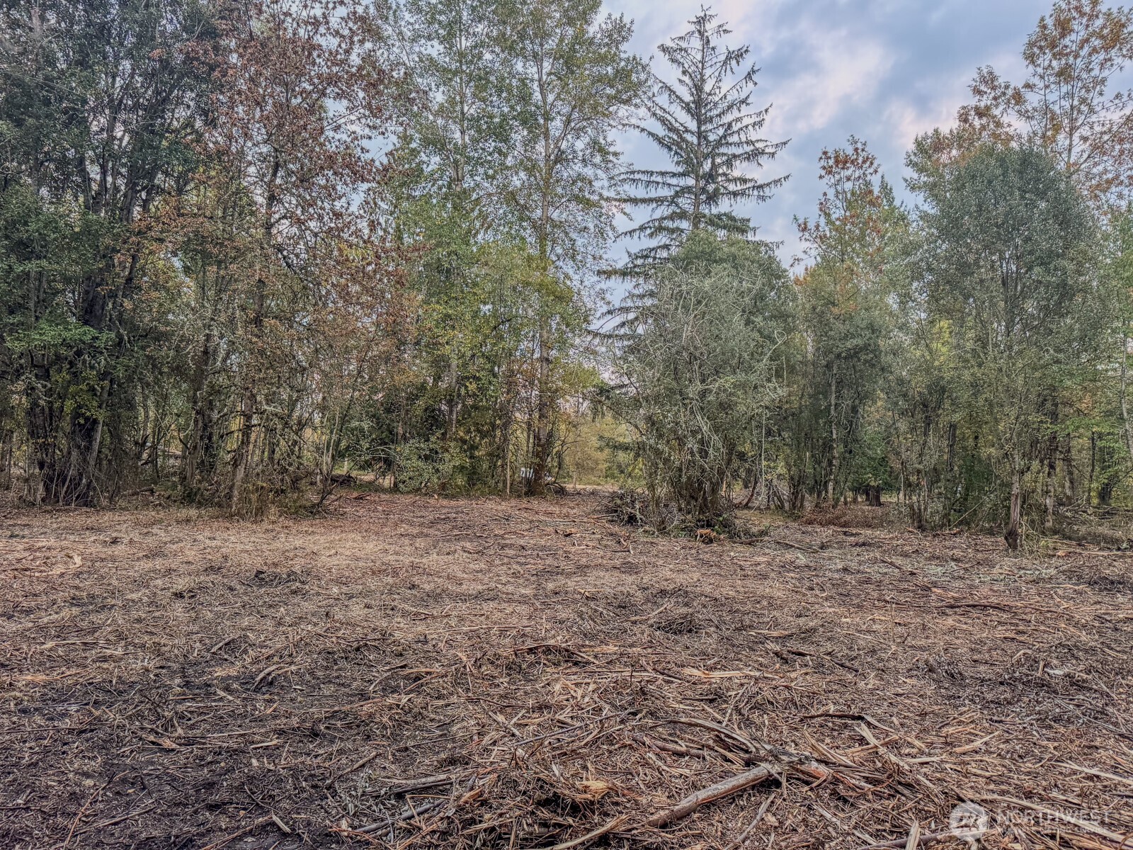 0 Mundy Loss Road Property Photo 22