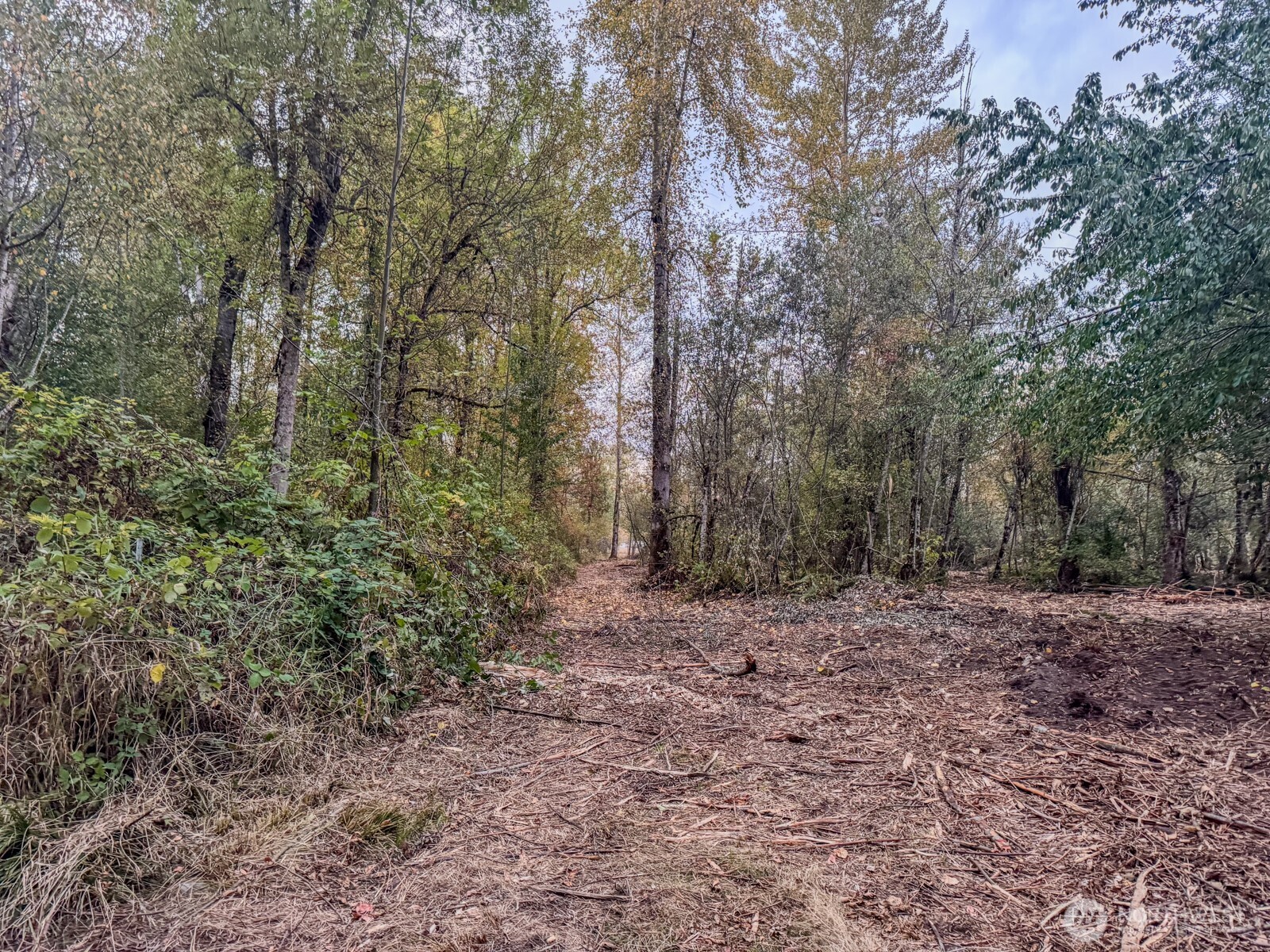 0 Mundy Loss Road Property Photo 23