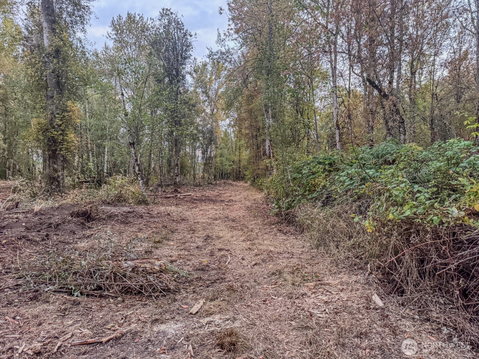0 Mundy Loss Road Property Photo 24