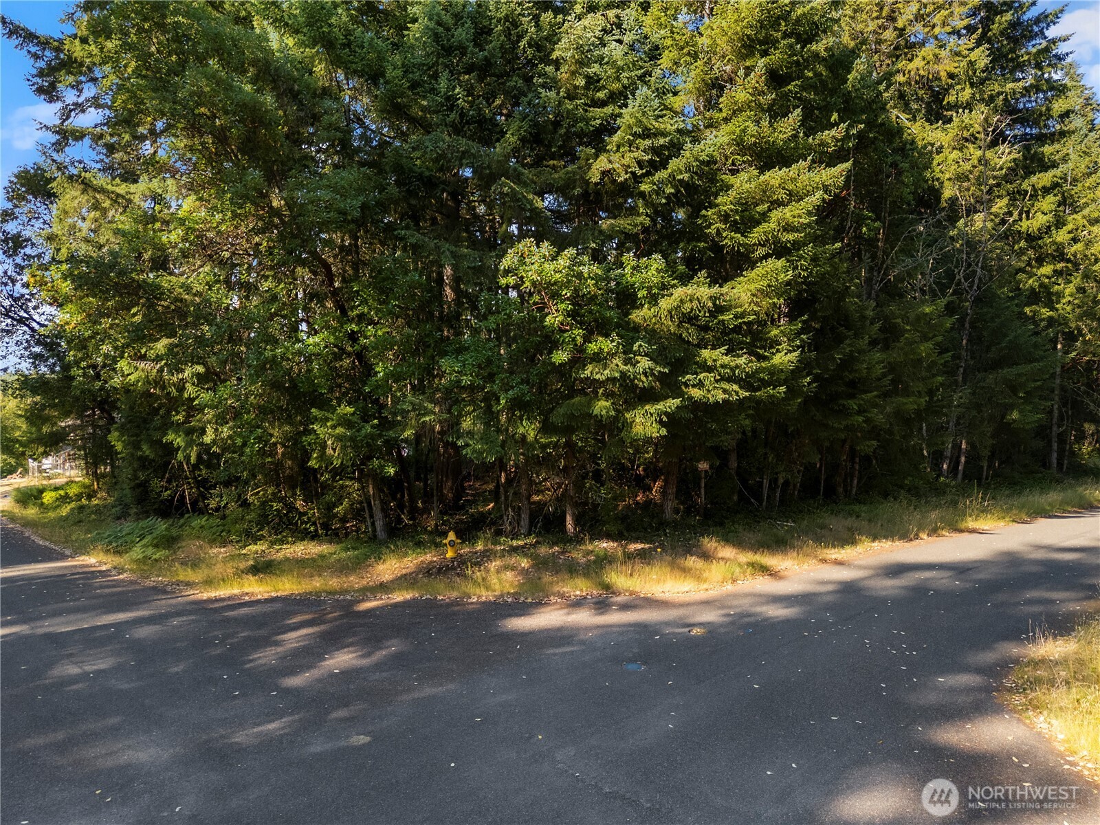 10519 Suncrest Drive Property Photo 3