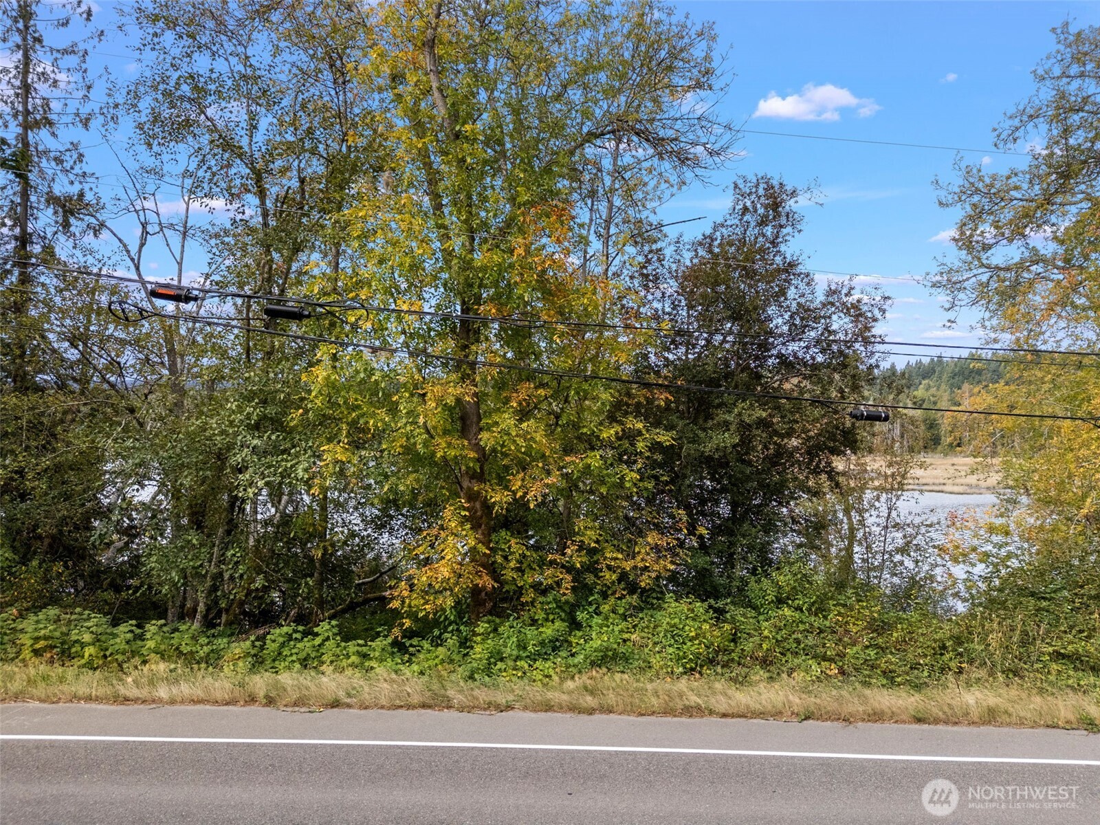 15330 Bethel Burley Road Property Photo 6