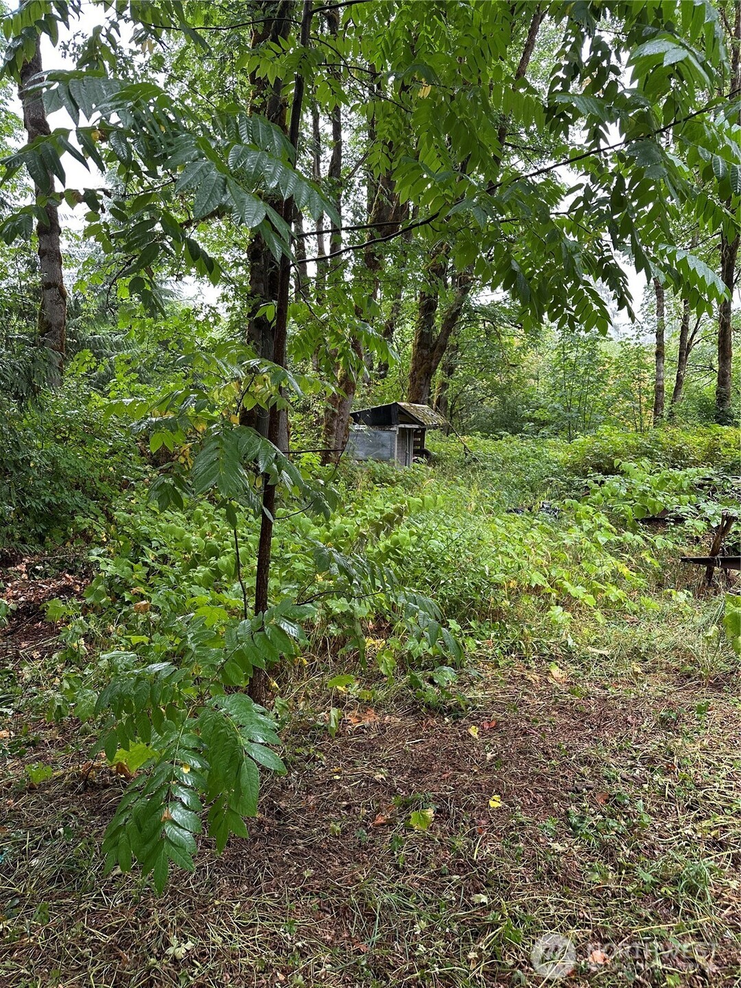 63428 Ne 196th Street Property Photo 3