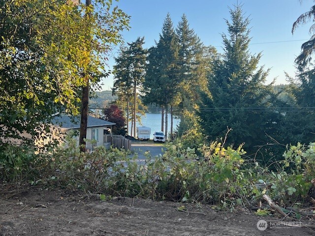 1981 Chico Way Property Photo 6