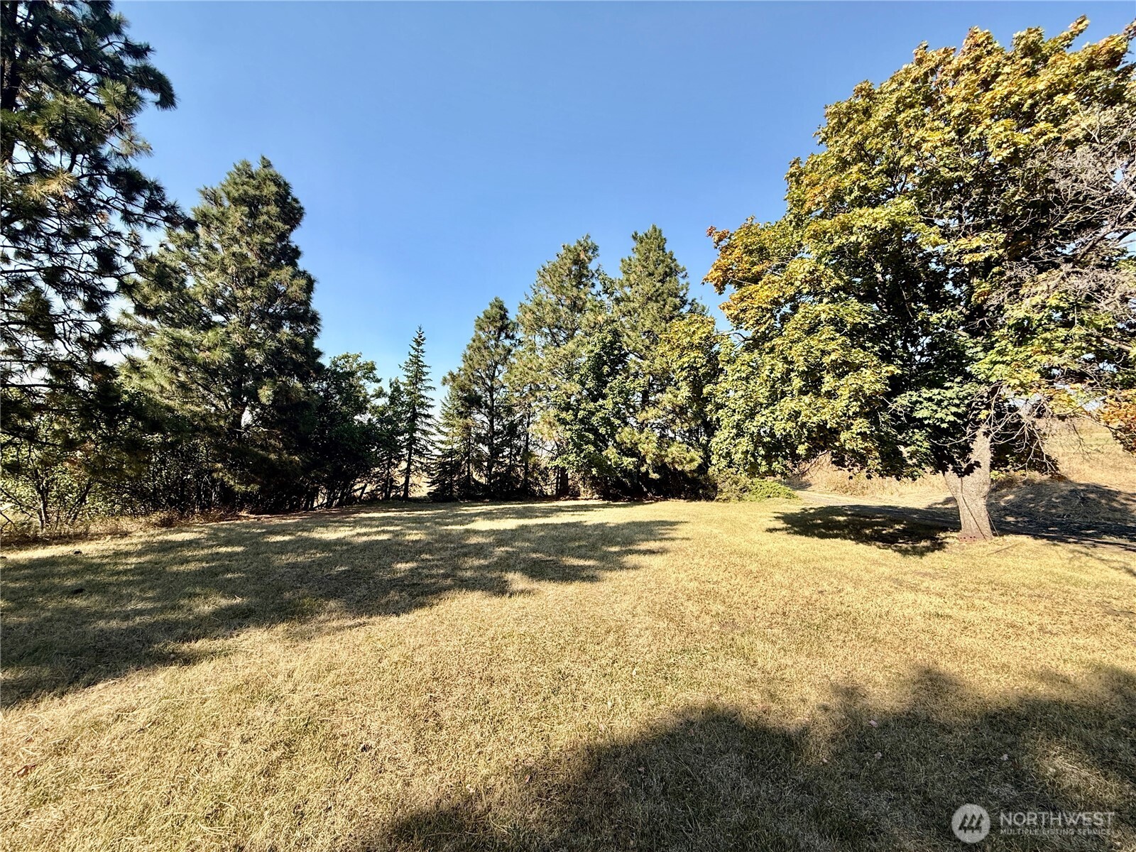 348 Hatley Gulch Road Property Photo 3
