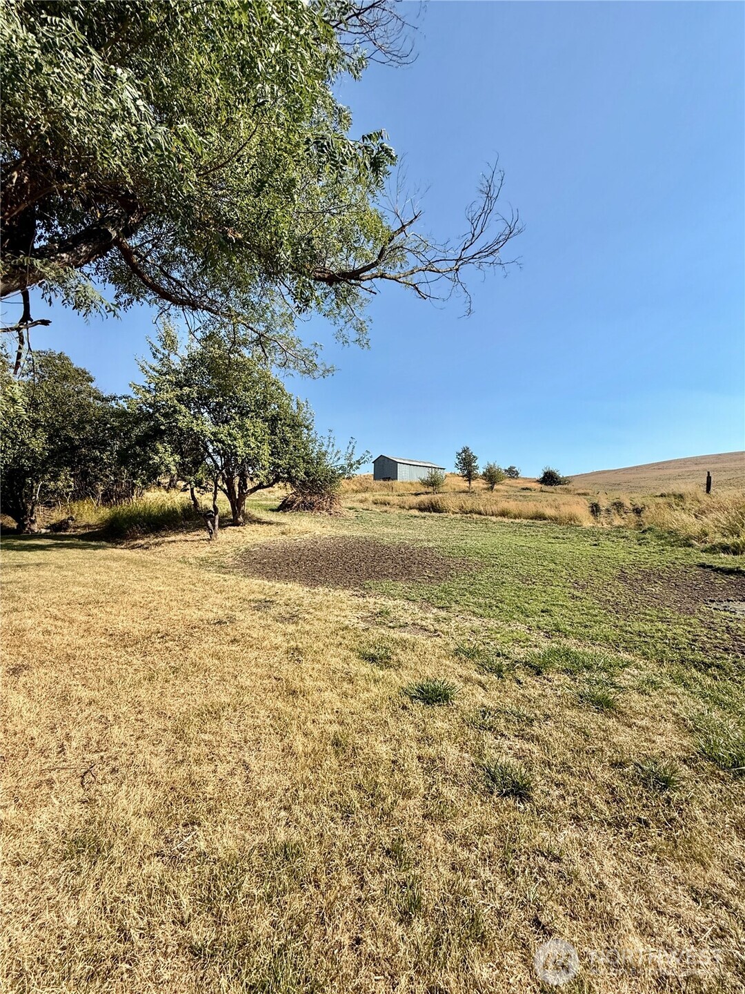 348 Hatley Gulch Road Property Photo 23