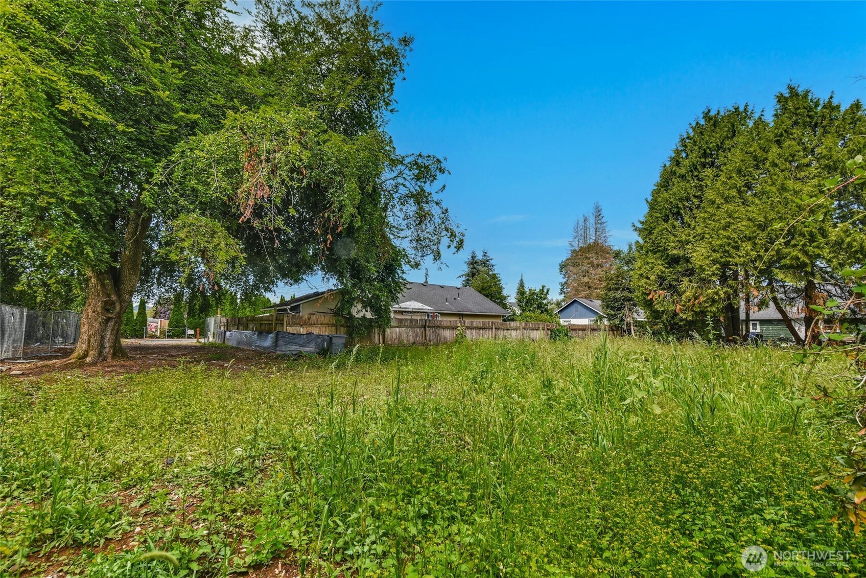 523 Park Street Property Photo 7