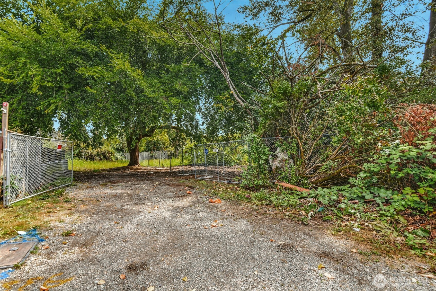523 Park Street Property Photo 14