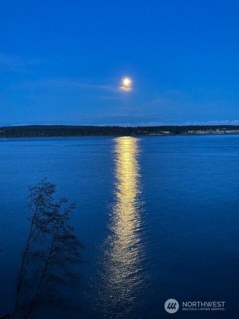 392 Buckloop Road Property Photo 29