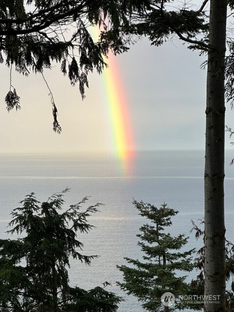 392 Buckloop Road Property Photo 31