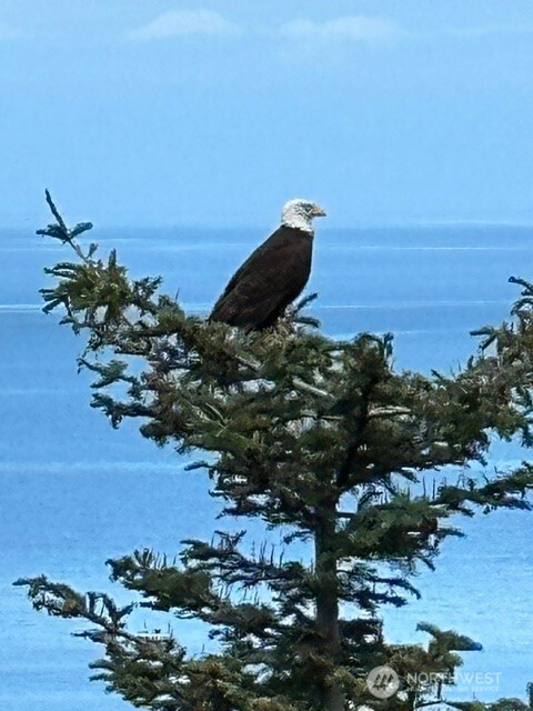 392 Buckloop Road Property Photo 32