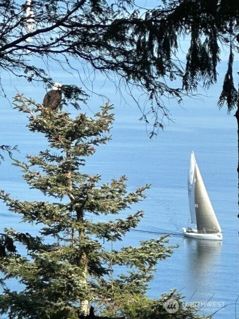 392 Buckloop Road Property Photo 33