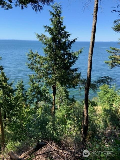 392 Buckloop Road Property Photo 35