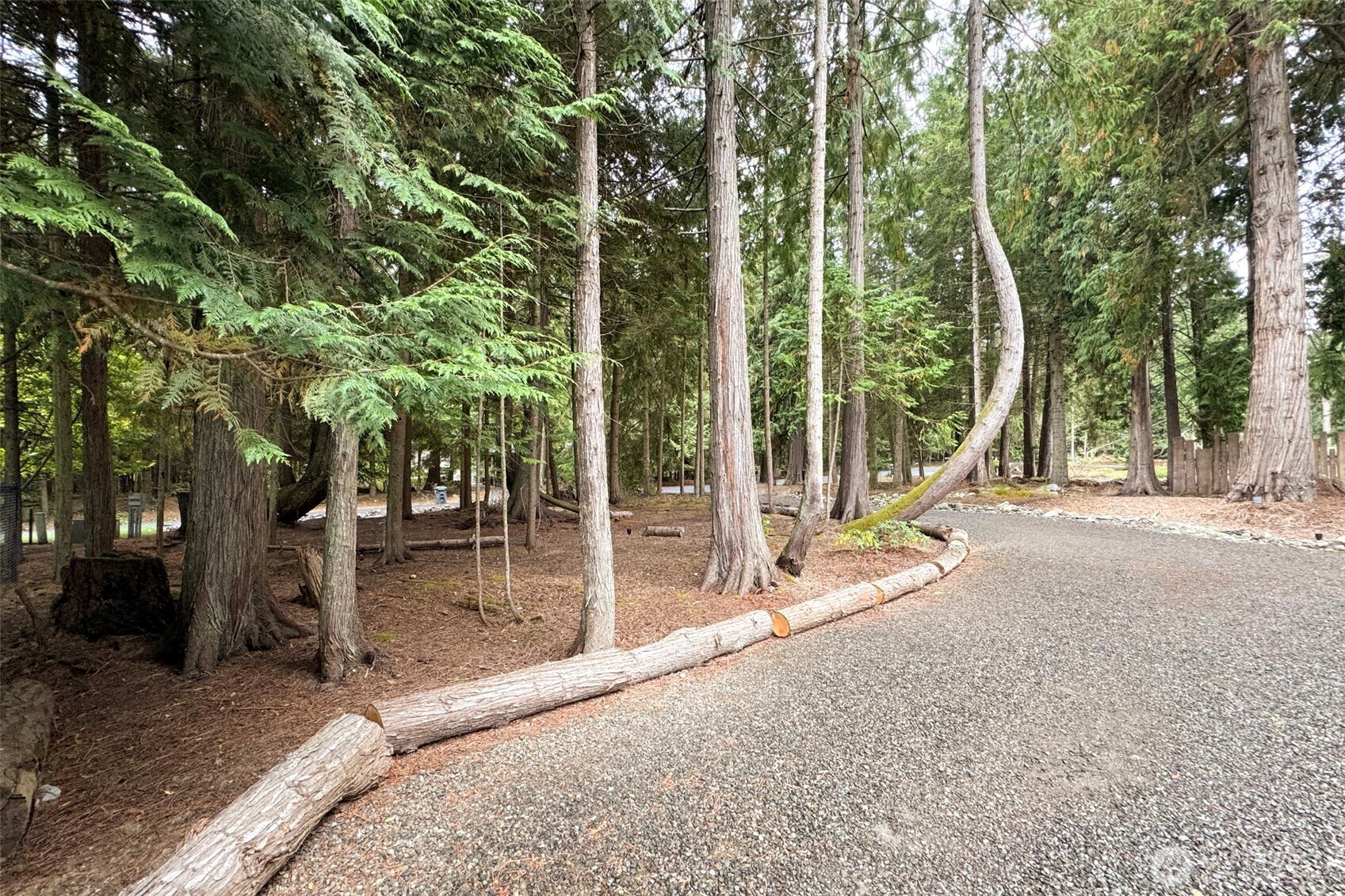 392 Buckloop Road Property Photo 36