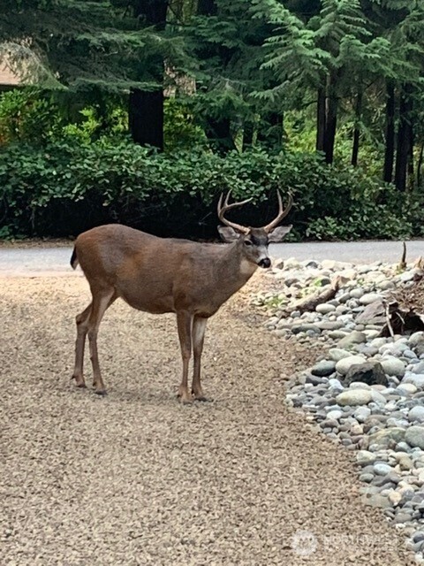 392 Buckloop Road Property Photo 37