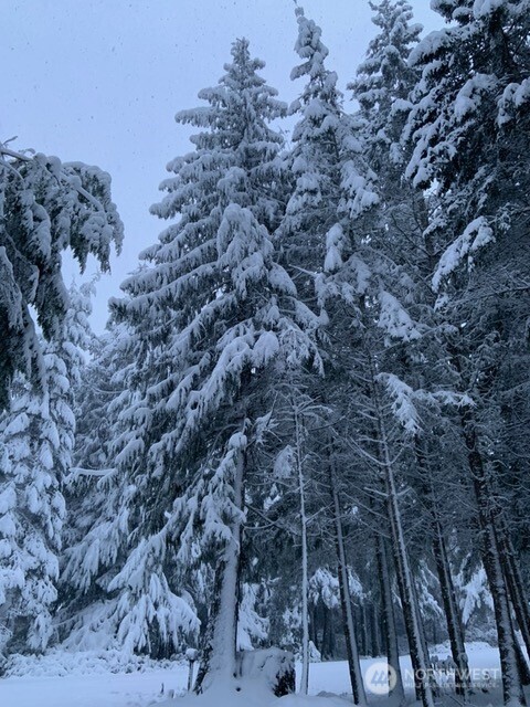 392 Buckloop Road Property Photo 40