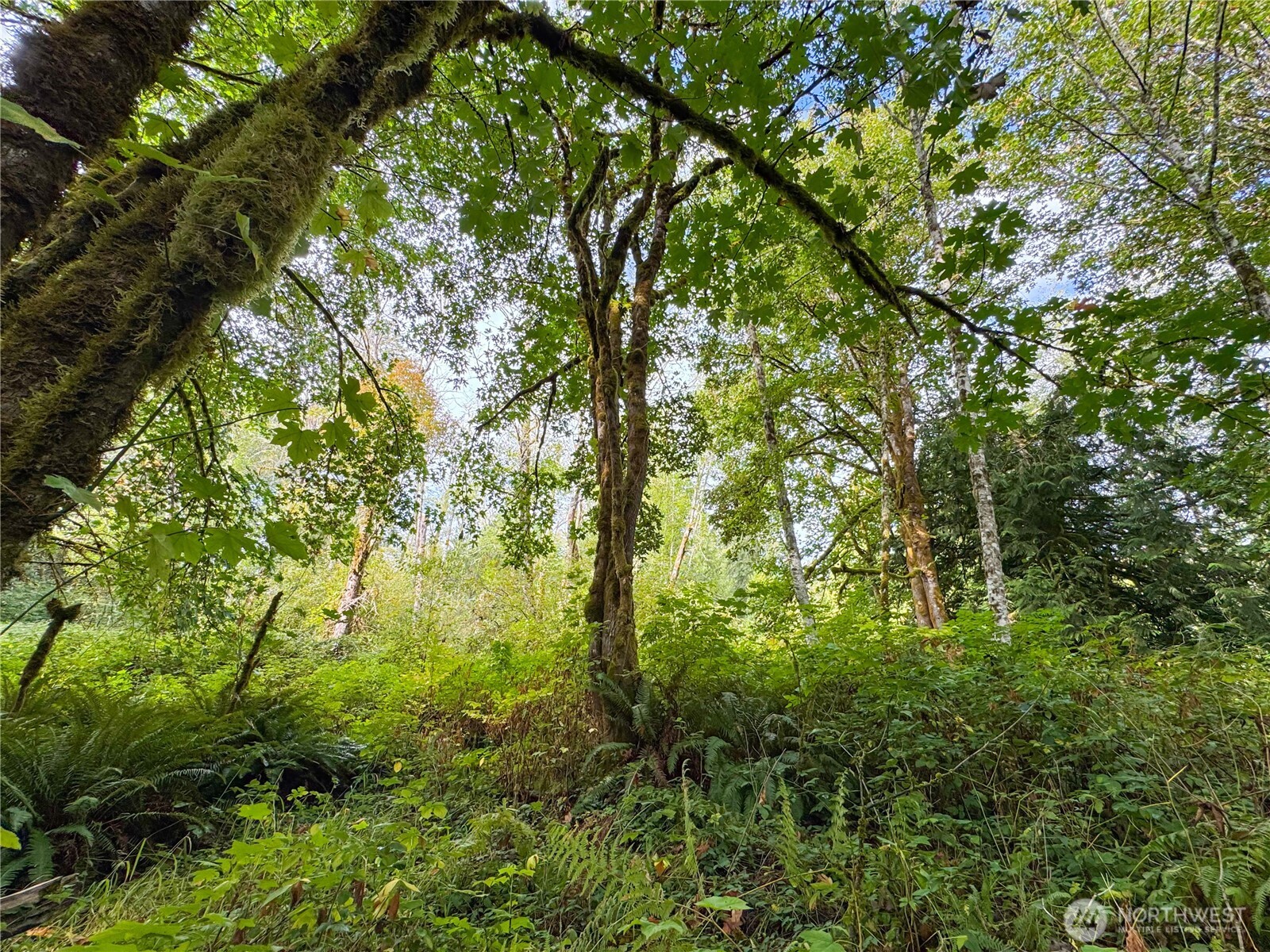 120 184th Avenue Ct Property Photo 6