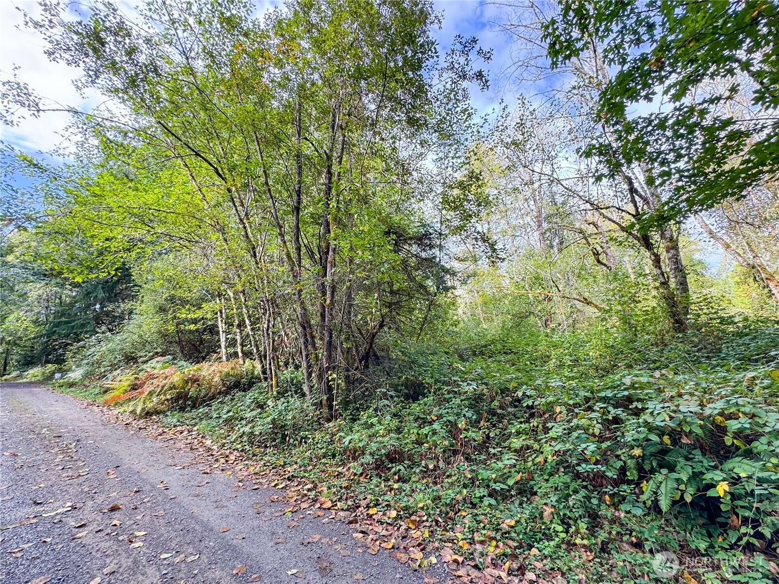 120 184th Avenue Ct Property Photo 10