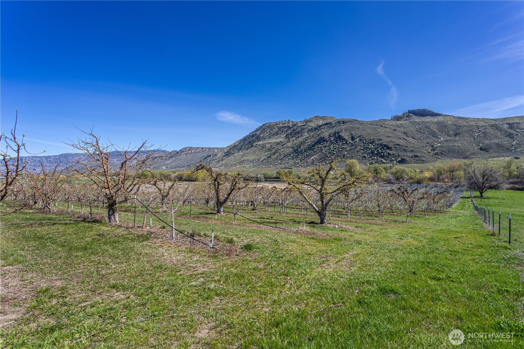 1096 Highway 7 Property Photo 27