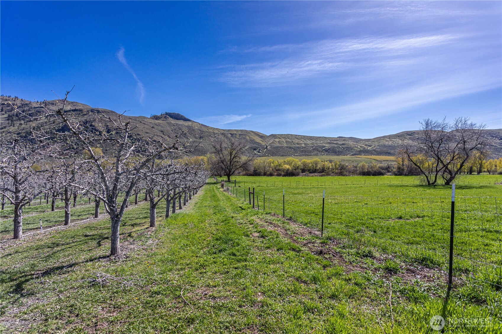 1096 Highway 7 Property Photo 29