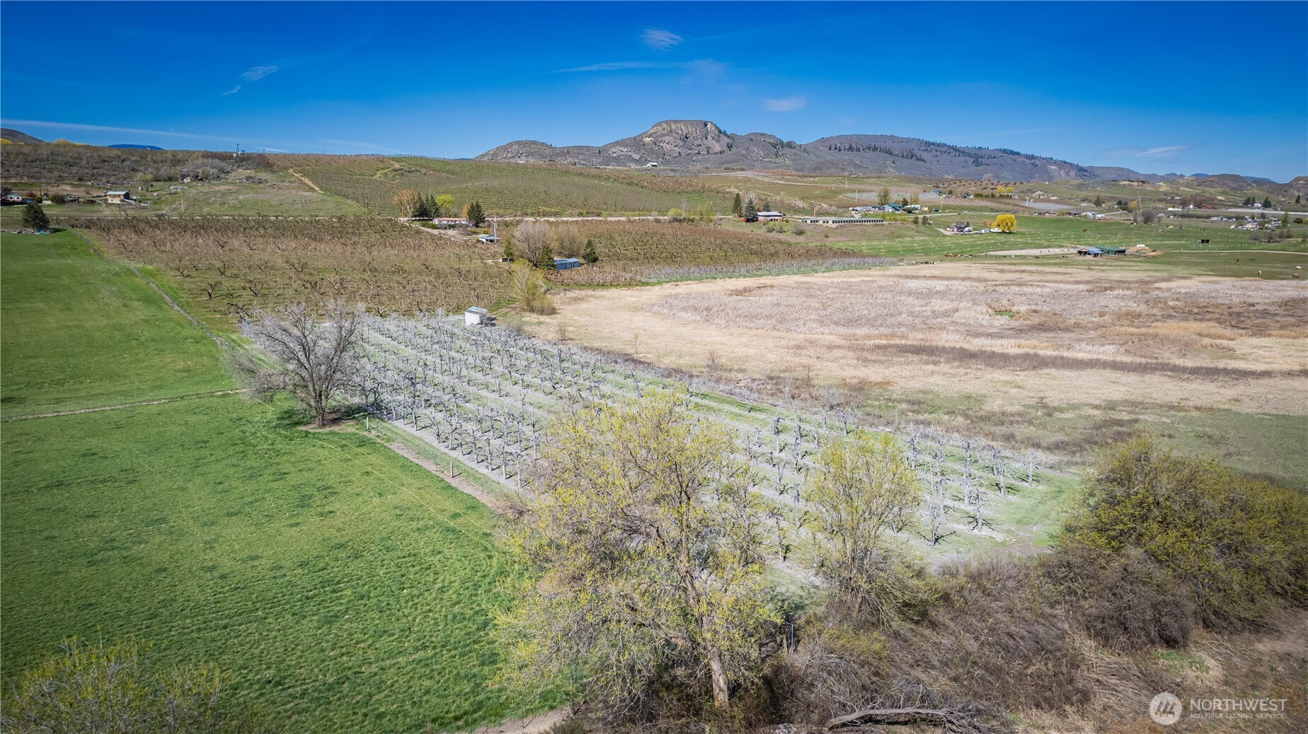1096 Highway 7 Property Photo 37