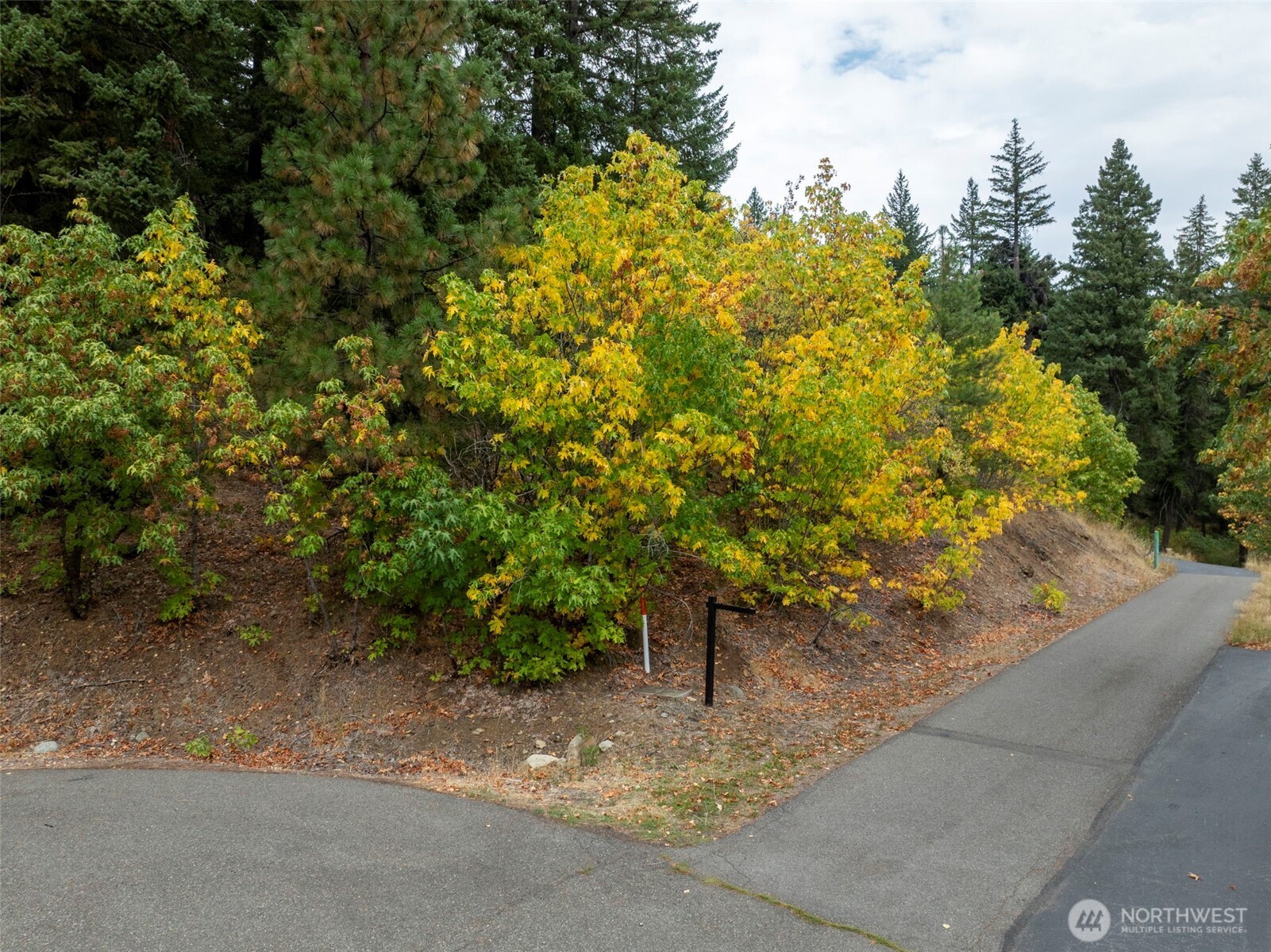 0 Boulder Lane Property Photo 14