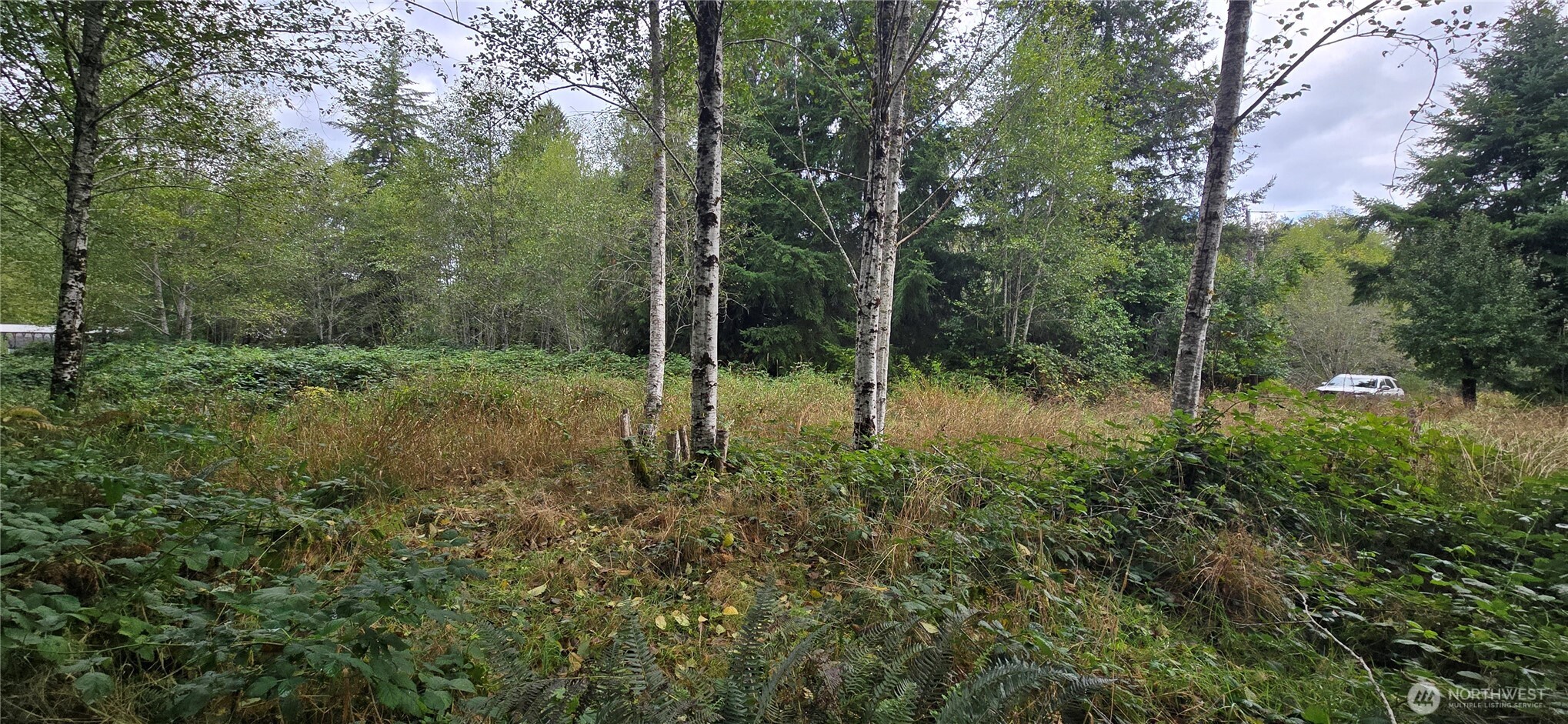 1351 Satsop Road Property Photo 1