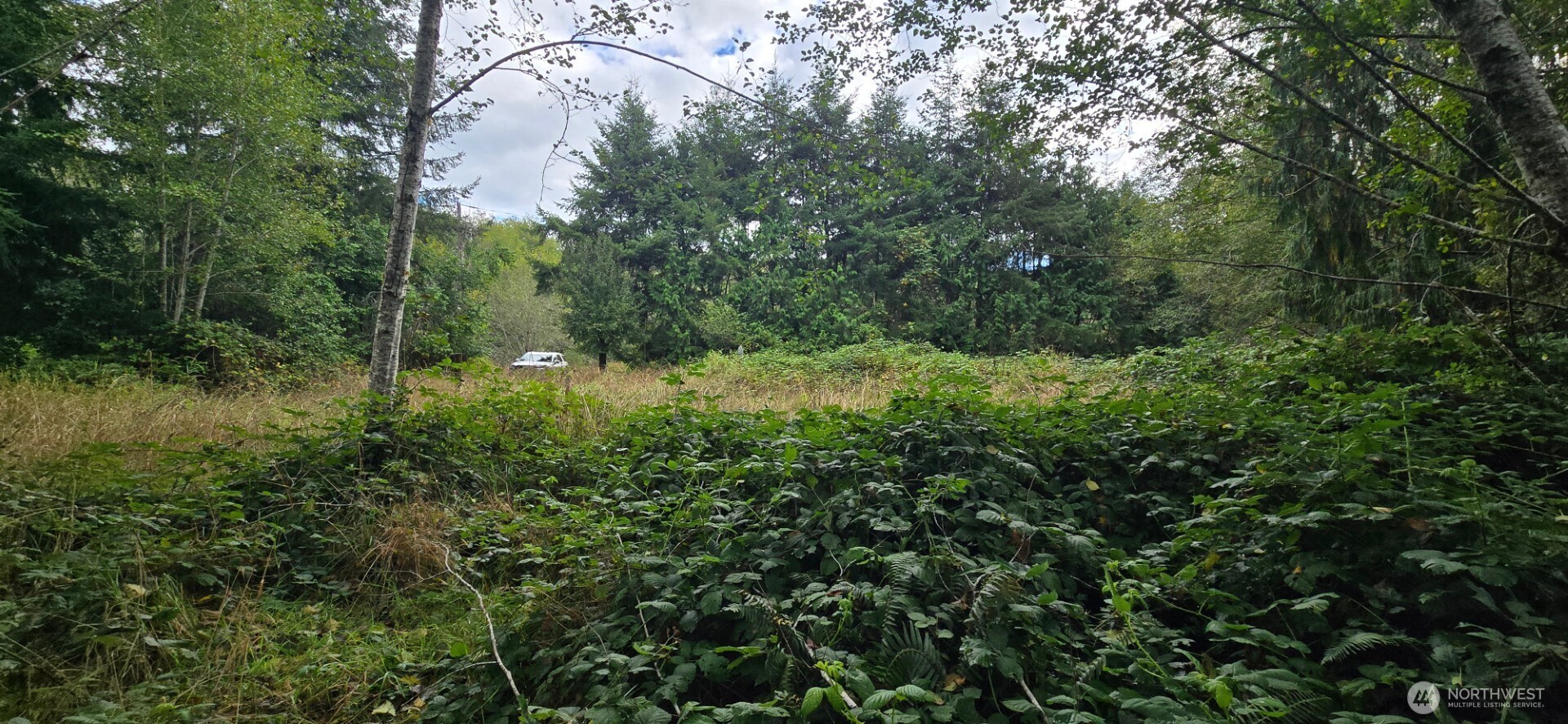 1351 Satsop Road Property Photo 3