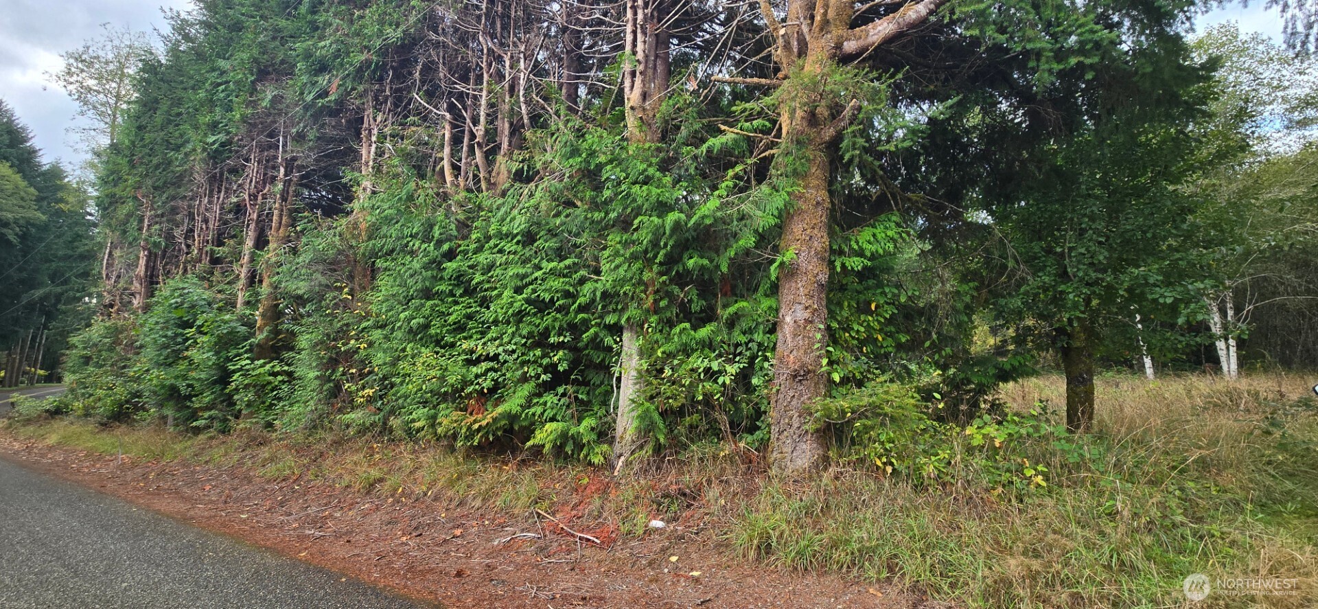 1351 Satsop Road Property Photo 4