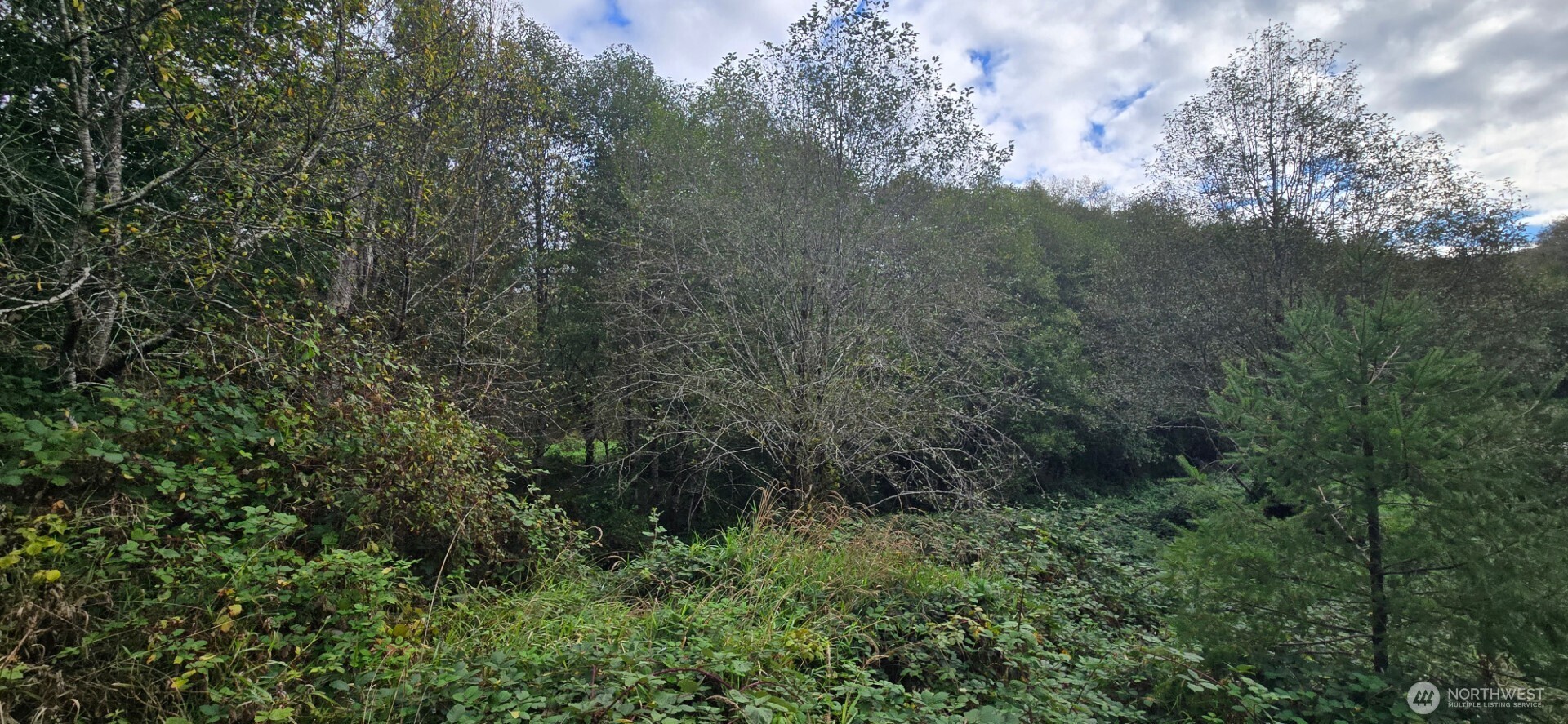1351 Satsop Road Property Photo 5