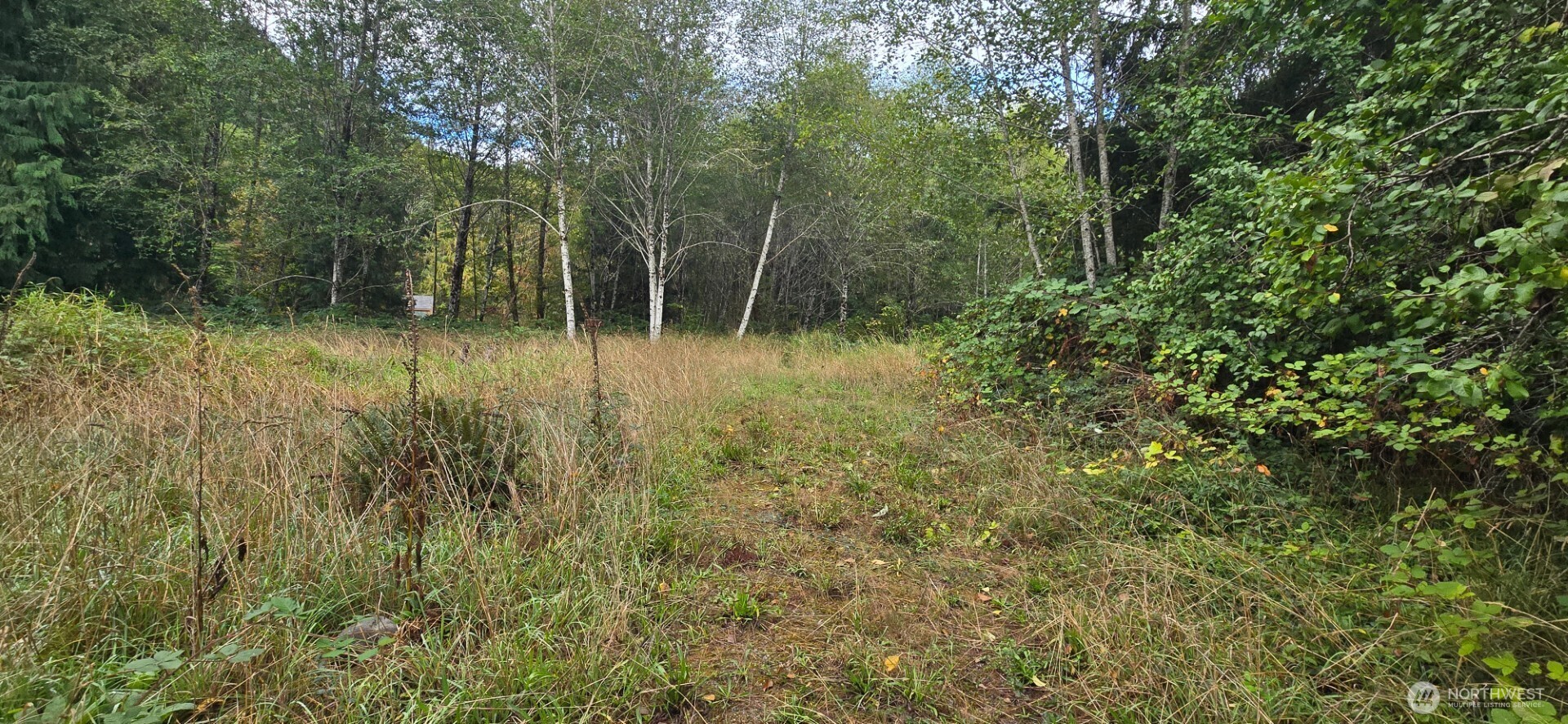 1351 Satsop Road Property Photo 6