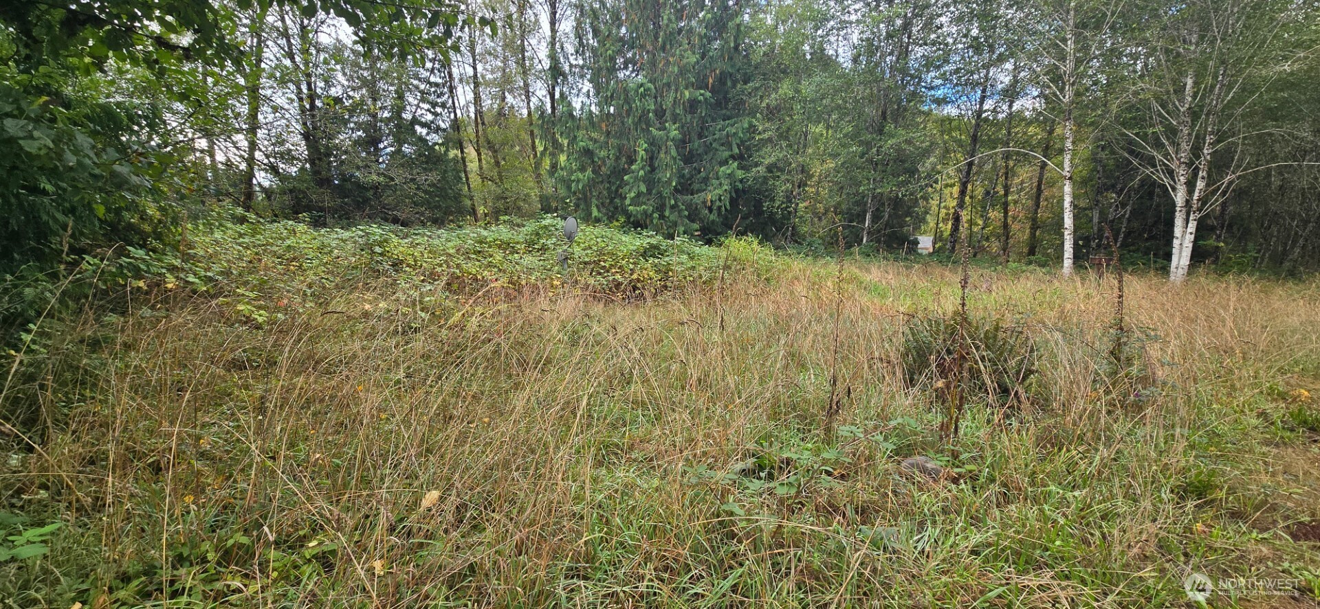 1351 Satsop Road Property Photo 7