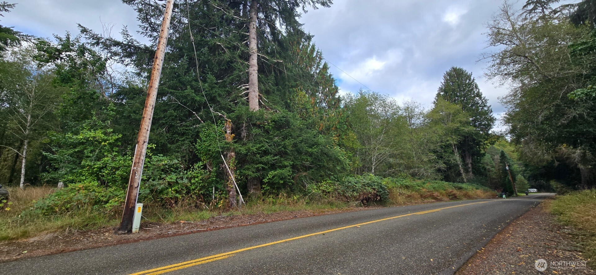 1351 Satsop Road Property Photo 8