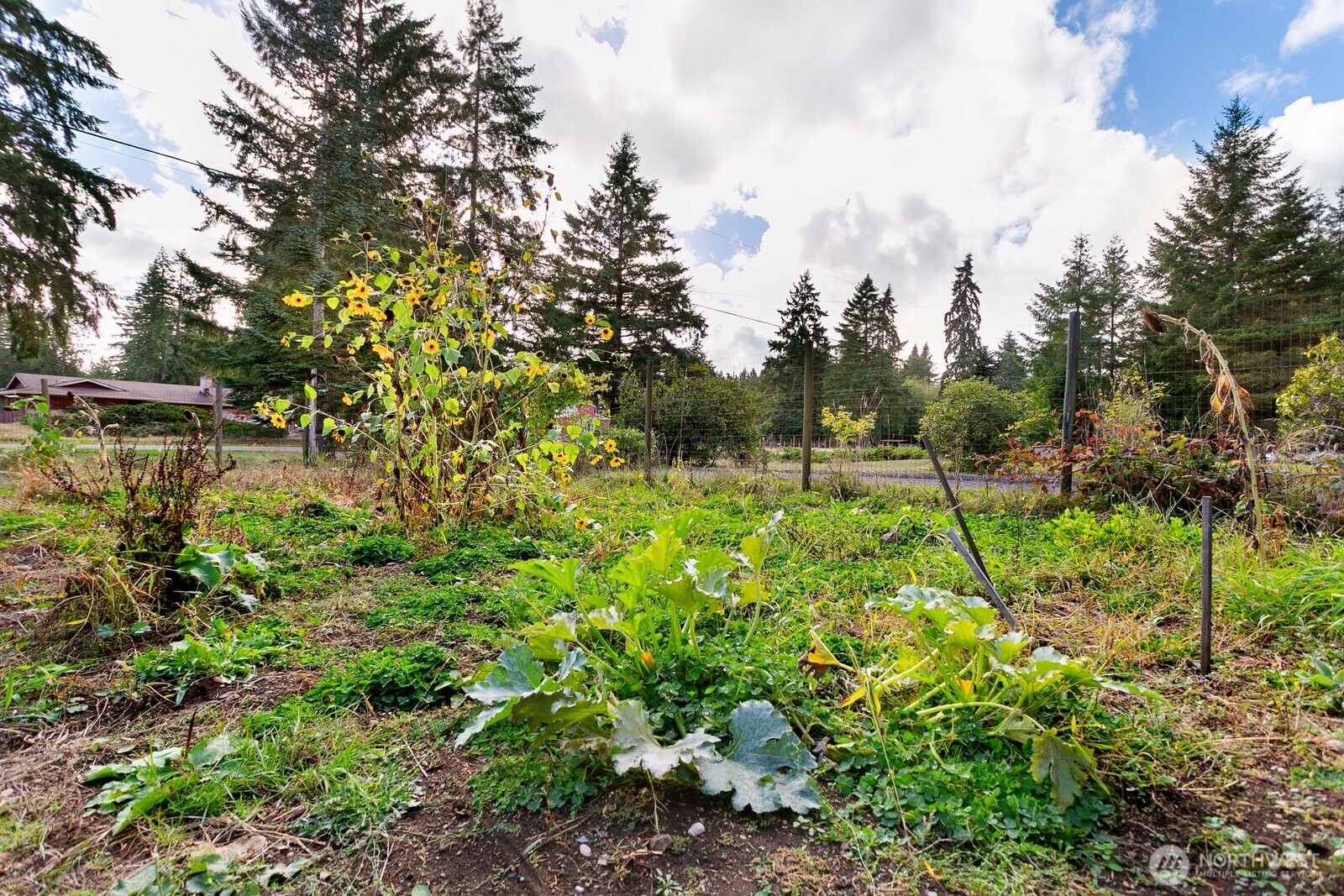 3624 104th Avenue Property Photo 17