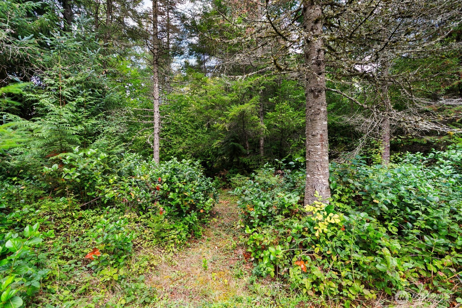 3624 104th Avenue Property Photo 20