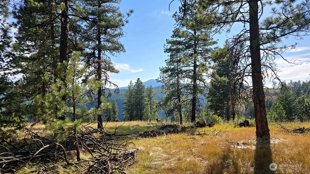 188 Rebel Road Property Photo 4