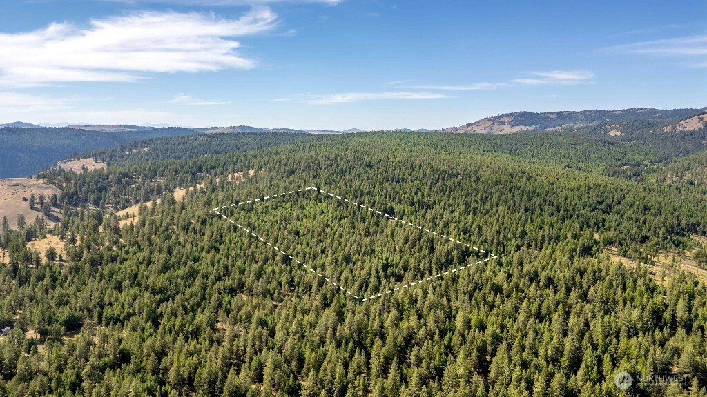 188 Rebel Road Property Photo 8