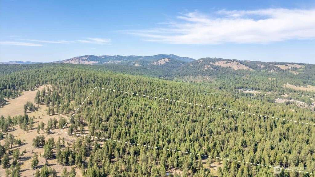 188 Rebel Road Property Photo 9