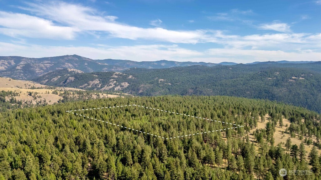 188 Rebel Road Property Photo 12