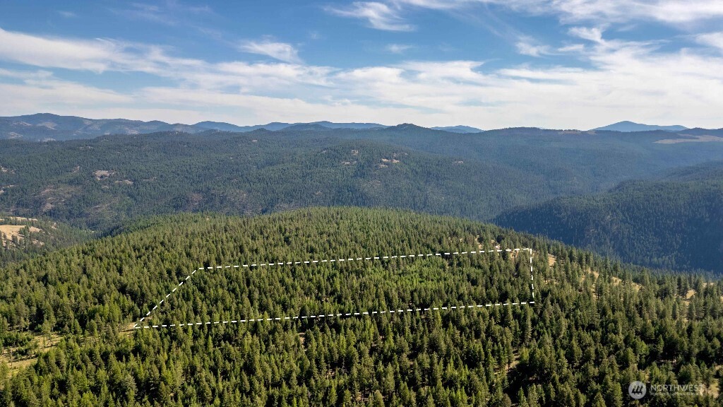 188 Rebel Road Property Photo 13