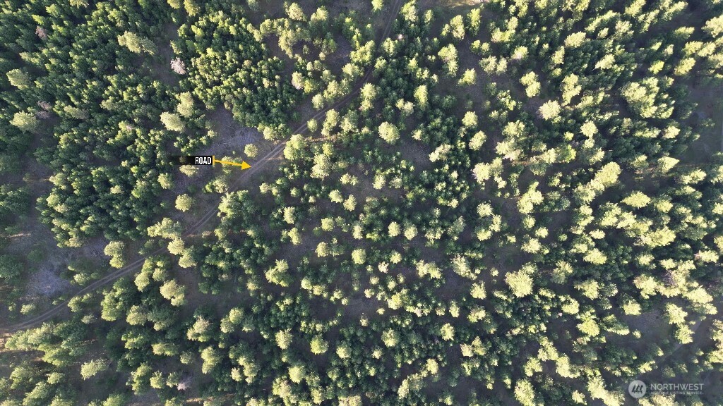 188 Rebel Road Property Photo 14