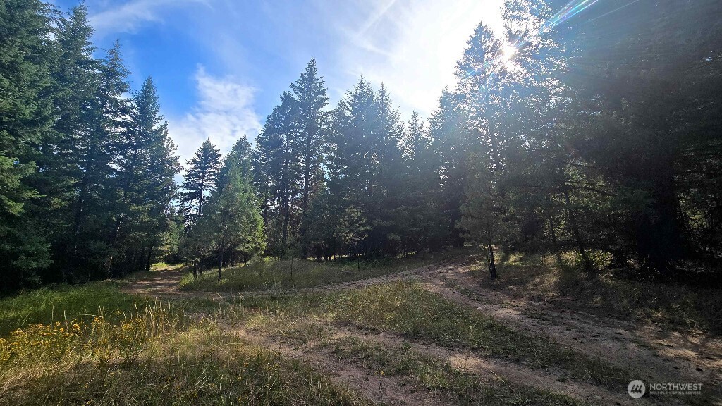 188 Rebel Road Property Photo 15